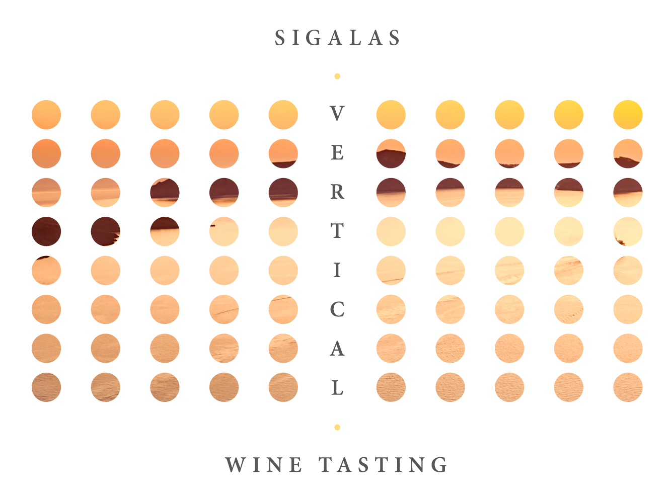 SEL22 VW Sigalas 640X480 Website