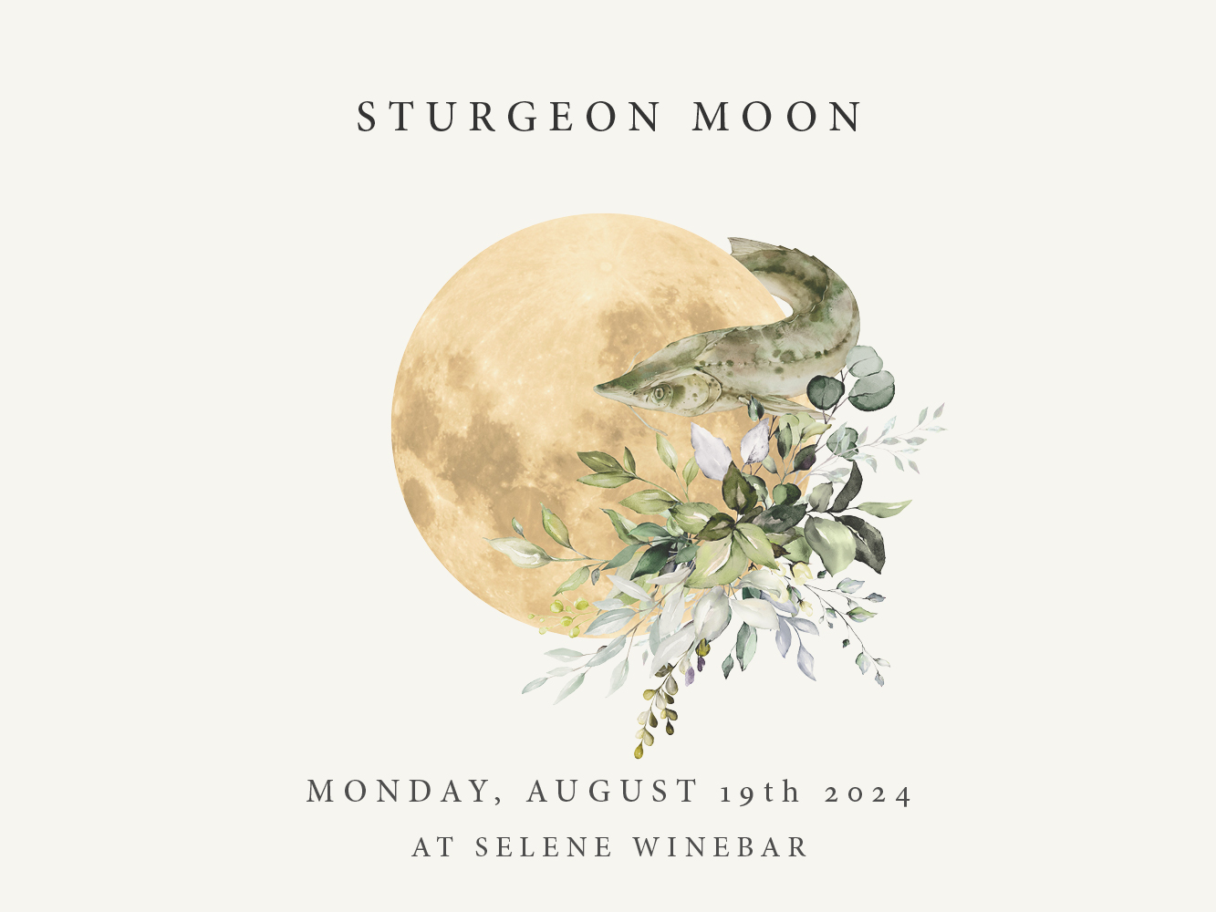 08 SEL24 EC Website 640X480 Strurgeonmoon