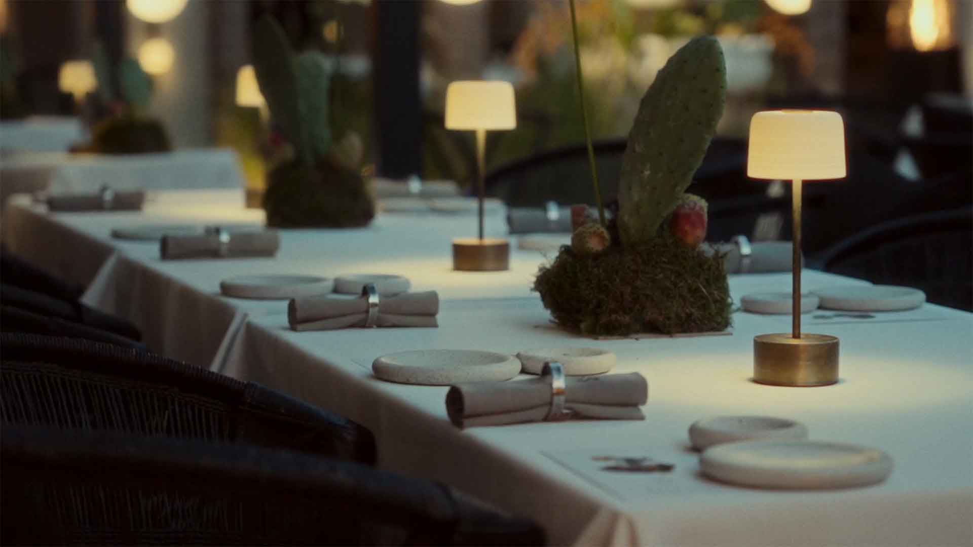 Selene Vedema 2025 Cover